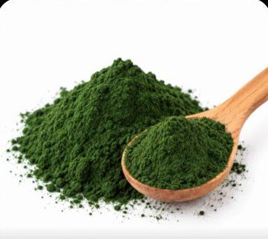 Spiruline et chlorelle en poudre